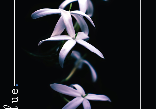 Γιώργος Καζαντζής | Ελένη Φωτάκη : BLUE