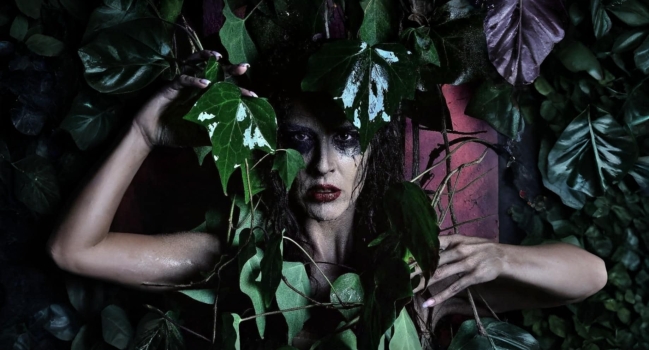 Η ΚΑΤΣΑΡΙΔΑ Κ.