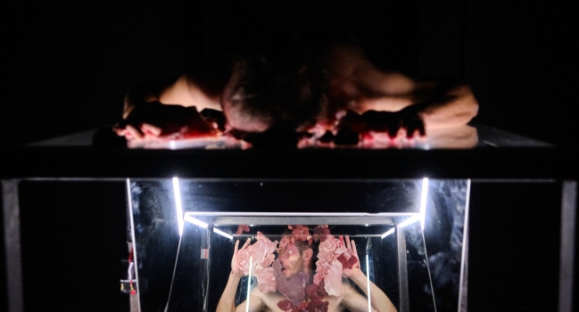 Francis Bacon Project  Scream of the Body