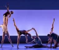 SYDNEY DANCE COMPANY    IMPERMANENCE