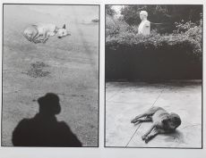 Τα ζώα δε διώχτηκαν ποτέ από τον παράδεισο 