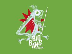 BIG BANG FESTIVAL 7 