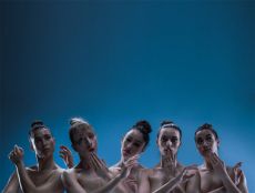 ARC FOR DANCE FESTIVAL 13 