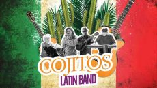 COJITOS  Latin Band Live 