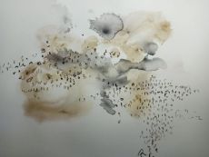 1SPOT  3 DOTS 
