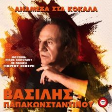 ΒΑΣΙΛΗΣ ΠΑΠΑΚΩΝΣΤΑΝΤΙΝΟΥ  ΑΝΑΜΕΣΑ ΣΤΑ ΚΟΚΑΛΑ 