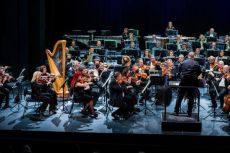 Ο ΘΕΟΔΩΡΑΚΗΣ ΠΡΙΝ ΤΟΝ ΜΙΚΗ 