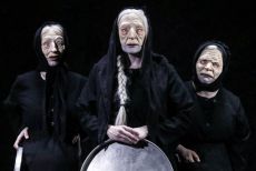 Οι γριές που μαζεύουν την τσουκνίδα  2η χρονιά 