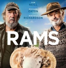 ΑΔΕΡΦΙΑ ΣΕ ΣΥΓΚΡΟΥΣΗ (RAMS) 