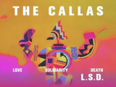 LOVE SOLIDARITY DEATH (L.S.D.) | THECALLAS 