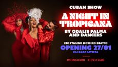 A NIGHT IN TROPICANA 