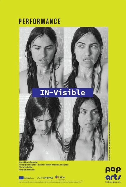 IN Visible 3
