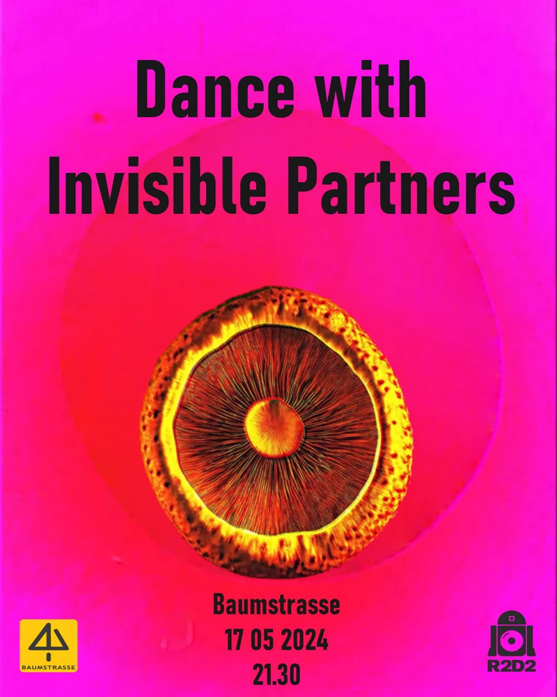 INVISIBLE