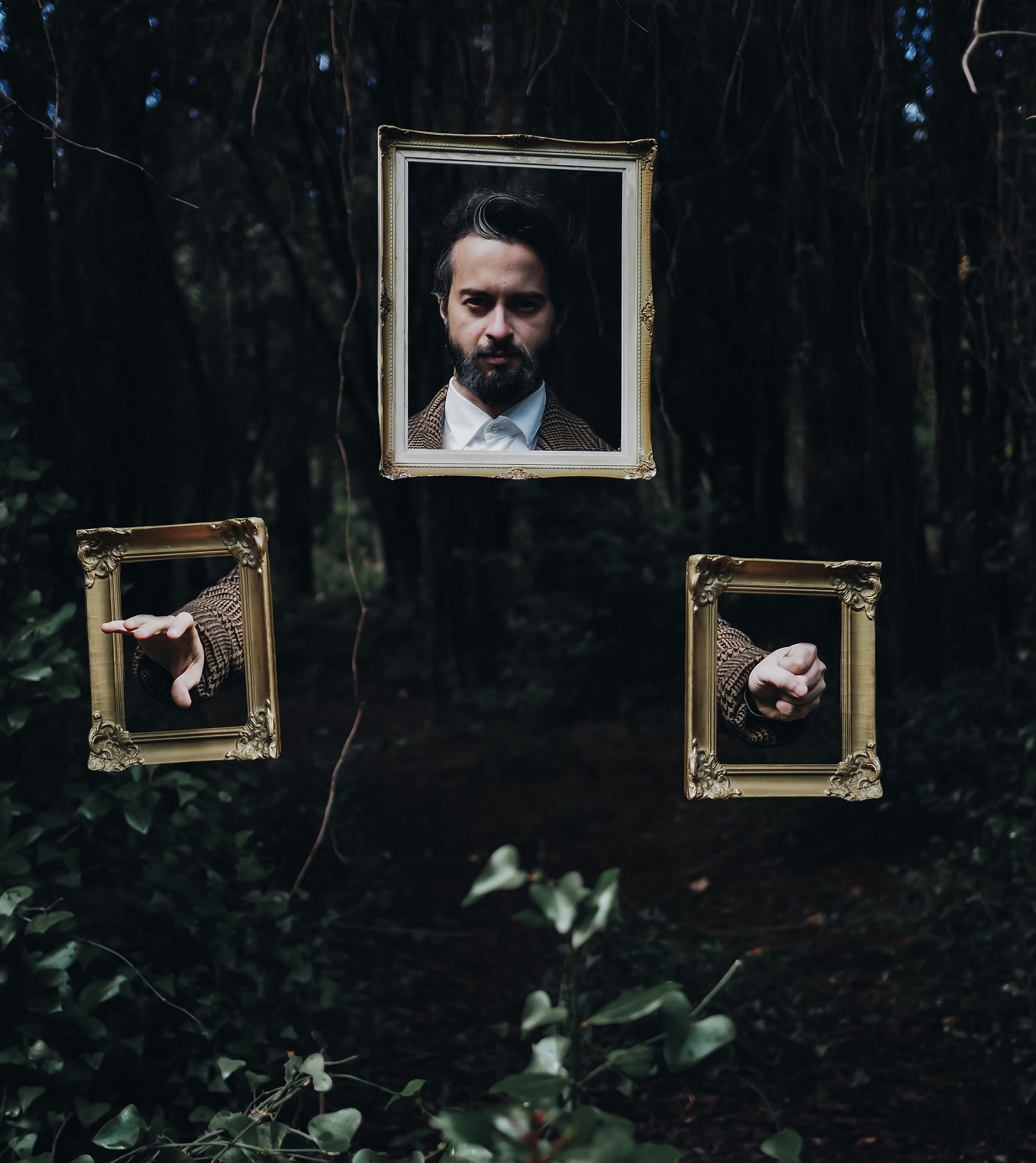 Into the woods