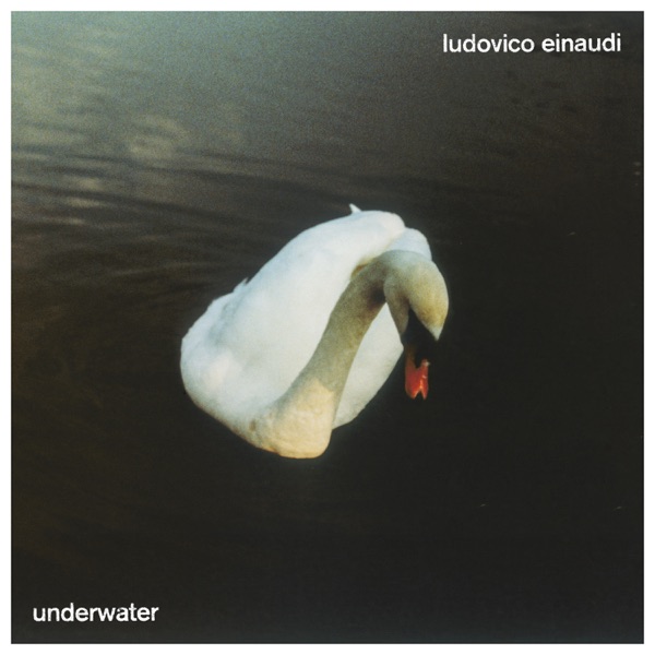 LUDOVICO