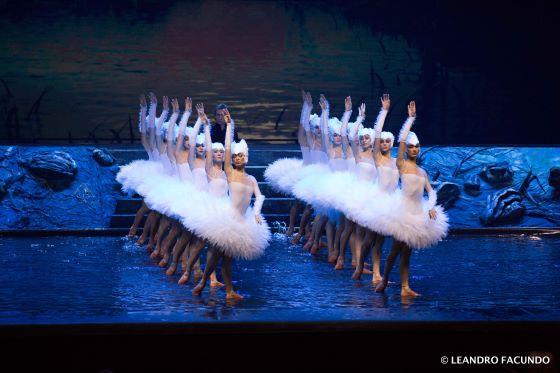 Swan Lake 9